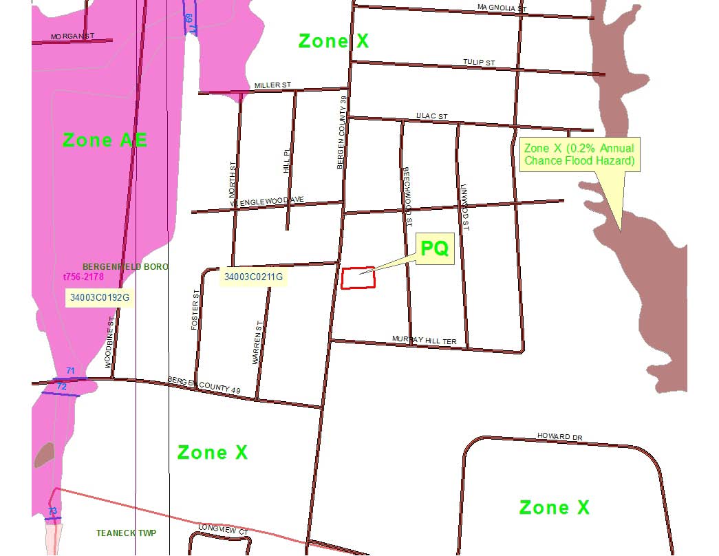 Download Sample Flood Zone X